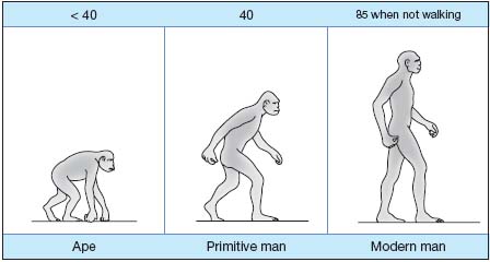 Figure 1 Figure 1