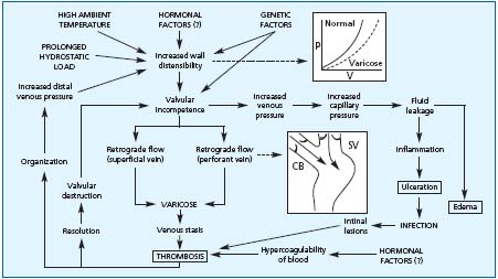Figure 1 Figure 1