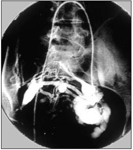 Figure 3 Figure 3