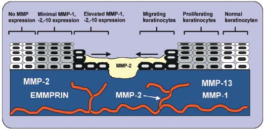 Figure 2 Figure 2