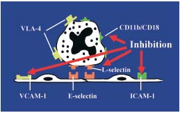 Figure 2 Figure 2