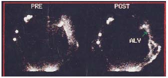 Figure 7 Figure 7