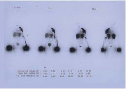 Figure D. Figure D.