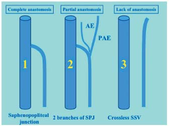 Figure 6 Figure 6