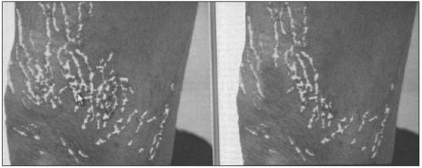 Figure 1 Figure 1