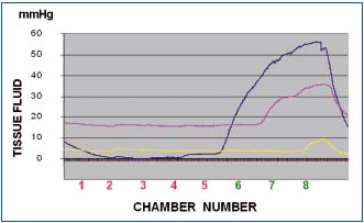 Figure 6b Figure 6b