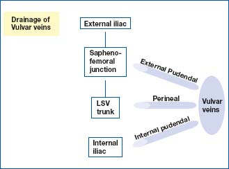 Figure 1 Figure 1