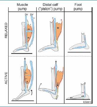 Figure 4 Figure 4