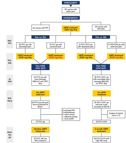 Figure 5. Patients flow-diagram. Abbreviations: CPVC, coefficient of pelvic venous congestion; ECT, emission computer tomography; GVV, gonadal varicose vein; Mo, month; MPFF, micronized purified flavonoid fraction; pts, patients; PVV, pelvic varicose vein; VAS, visual analogue scale; W, week.