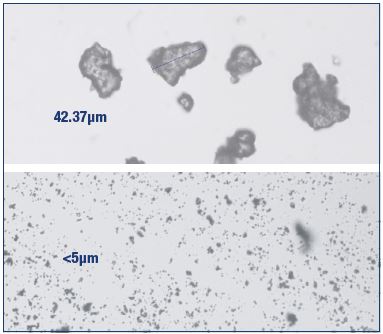Figure 4. Nonmicronized and micronized purified flavonoid fractions. Nonmicronized purified flavonoid fraction (top) and MPFF (bottom). The micronization process increases the bioavailability of the flavonoids comprised in the MPFF composition.